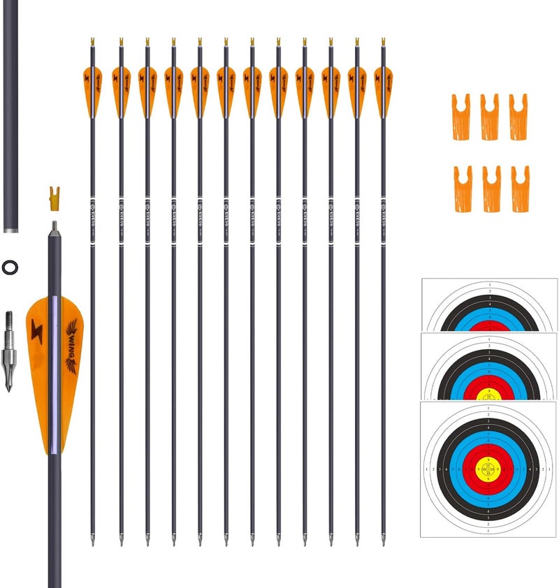 e5e10 31inch Carbon Arrow Archery Targeting Practice Hunting Arrows for Compound & Recurve Bow with Removable Tips(Pack of 12) - Image 1